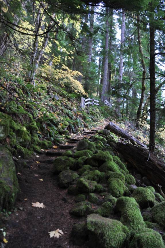 Trilha na Umpqua National Forest, no sul do Oregon, estado da costa oeste dos Estados Unidos